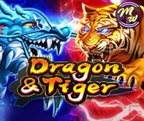 Dragon&Tiger