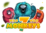 7 Monkeys JP