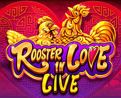 Rooster In Love Live