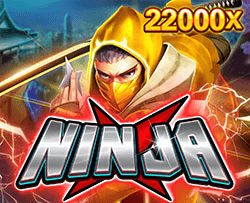 Ninja X