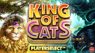 King of Cats Megaways_V1 DNT