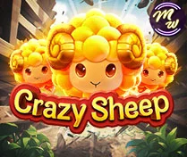 Crazy Sheep