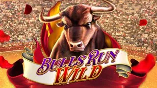 Bulls Run Wild DNT